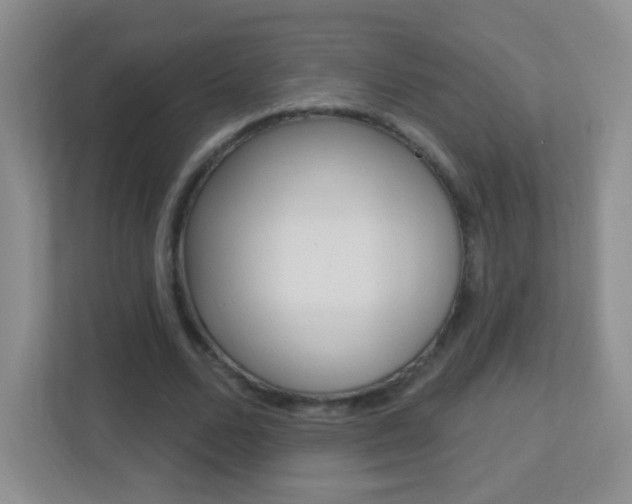 X0000113900680200909241203