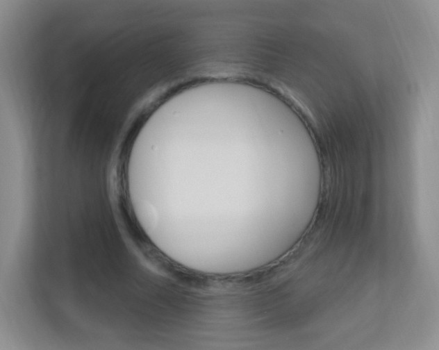 X0000113900682200909241203
