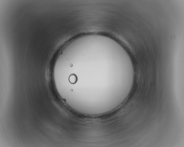 X0000113900683200909241203