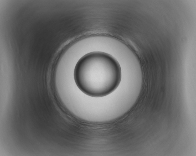 X0000113900684200909241203