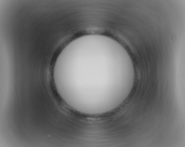 X0000113900690200909241203