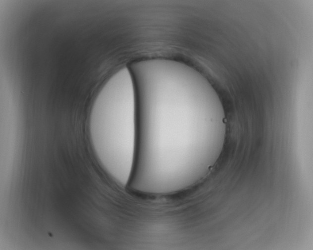 X0000113900695200909241203