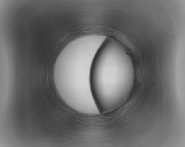 X0000113900697200909241203