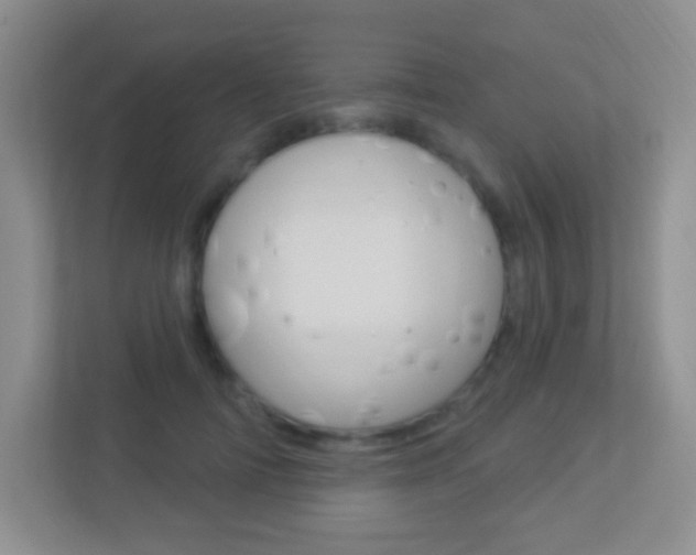 X0000113900698200909241203