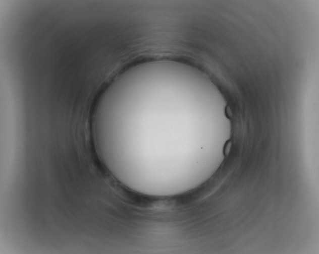 X0000113900700200909241203