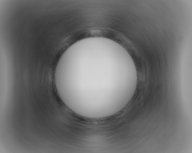 X0000113900702200909241203