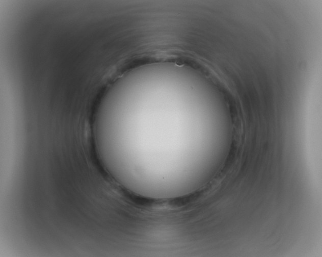 X0000113900704200909241203