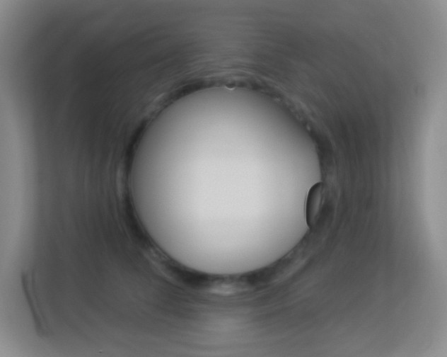 X0000113900708200909241203