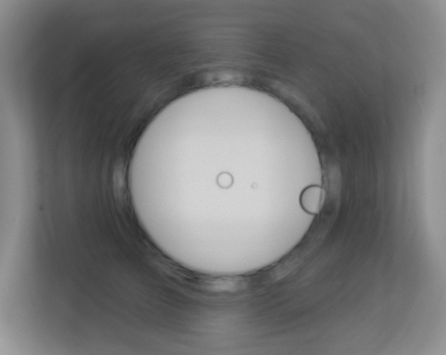 X0000113900709200909241203