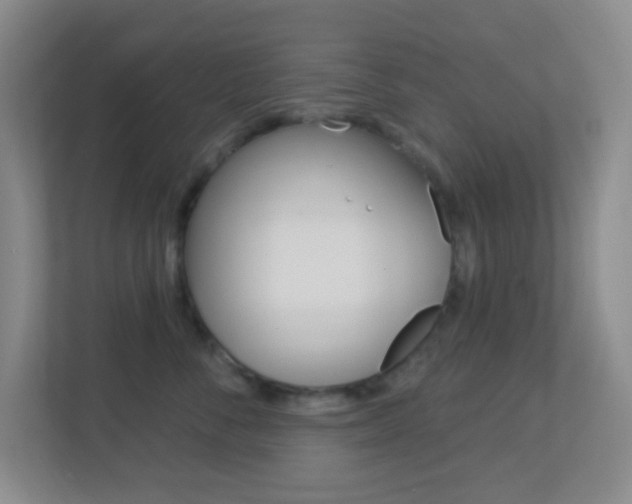 X0000113900716200909241203