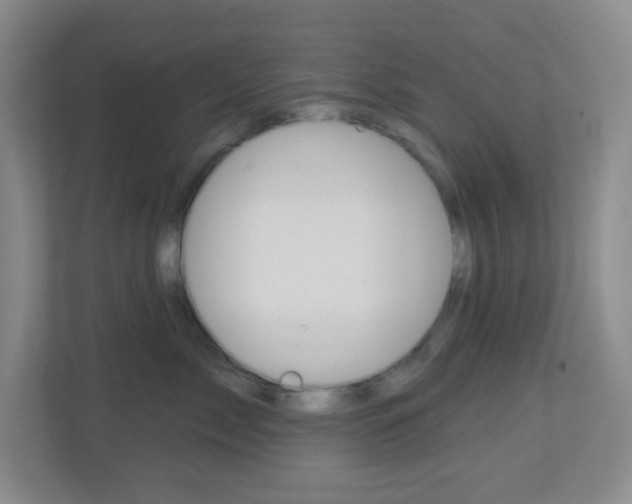 X0000113900717200909241203