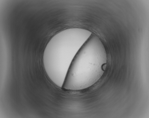 X0000113900719200909241203