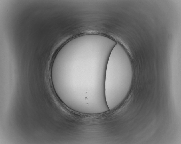 X0000113900721200909241202