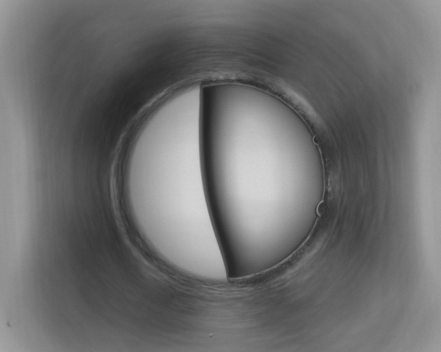 X0000113900722200909241202