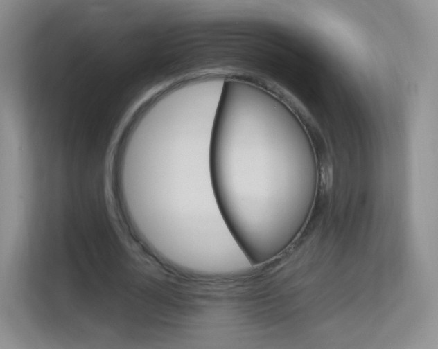 X0000113900724200909241202