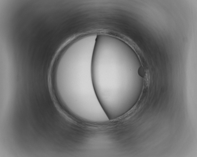 X0000113900726200909241202