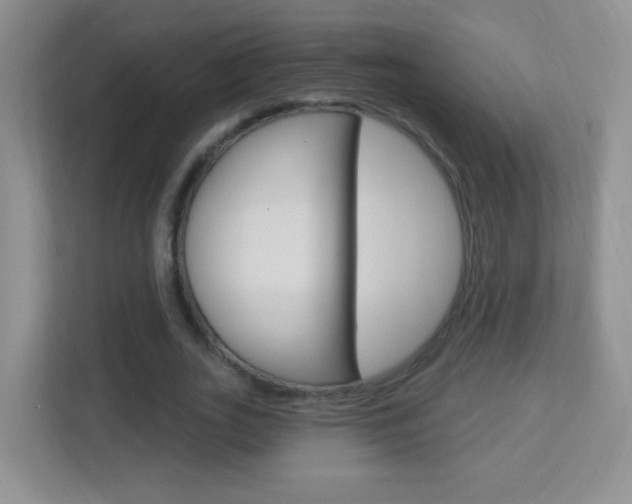 X0000113900727200909241202