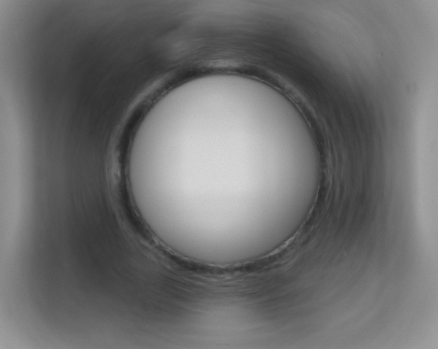 X0000113900731200909241202