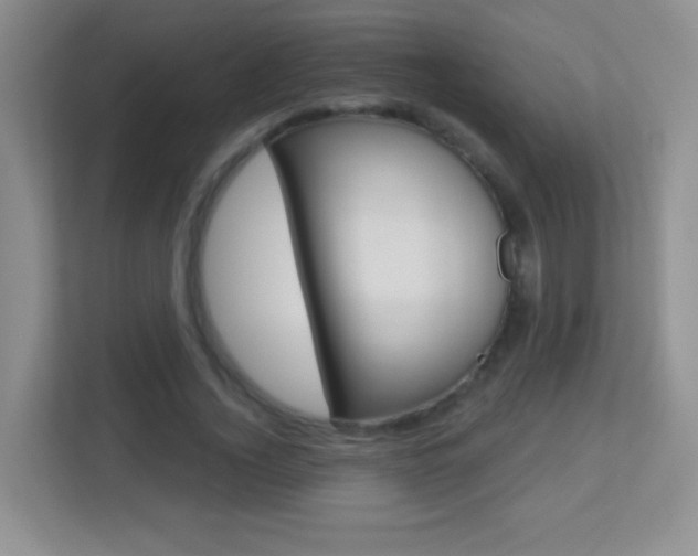 X0000113900732200909241202