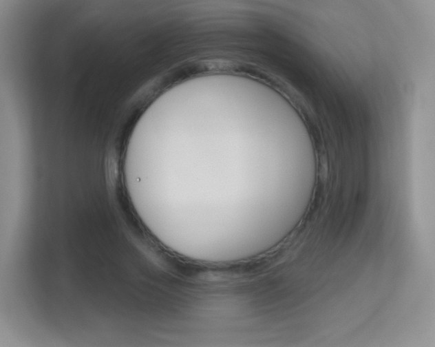 X0000113900733200909241202