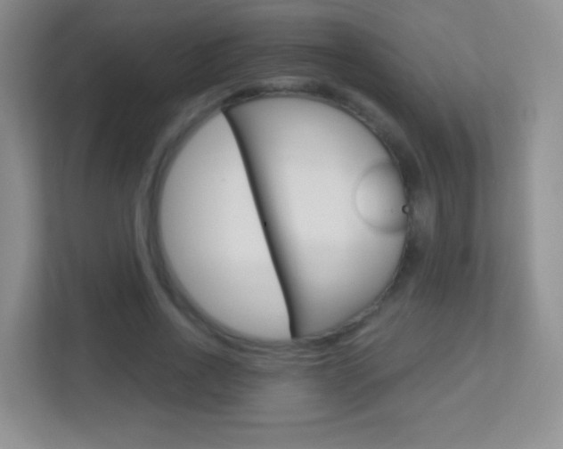 X0000113900734200909241202