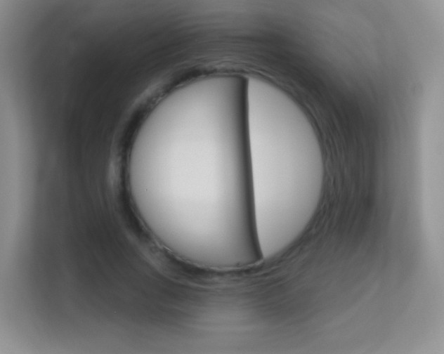 X0000113900735200909241202