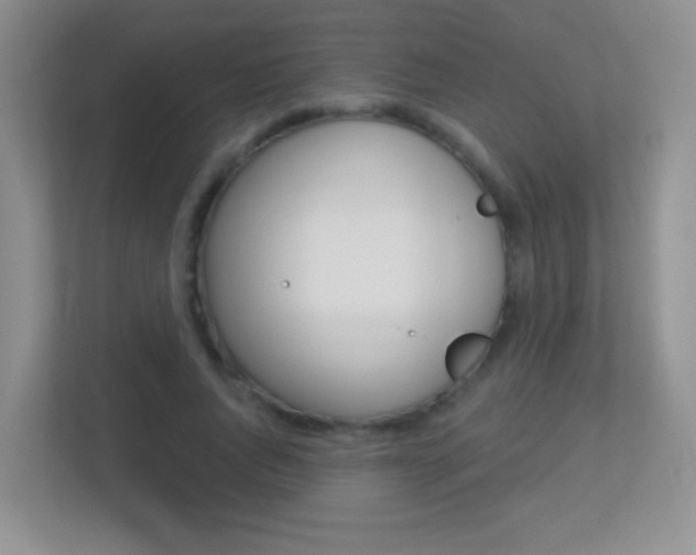X0000113900736200909241202