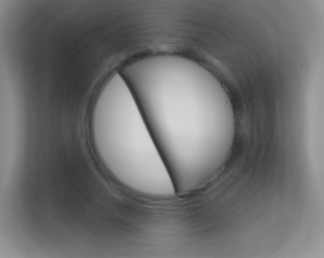 X0000113900738200909241202