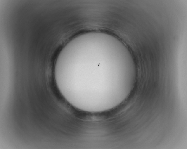 X0000113900739200909241202