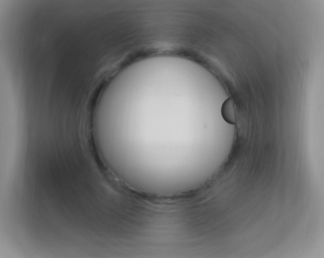 X0000113900740200909241202