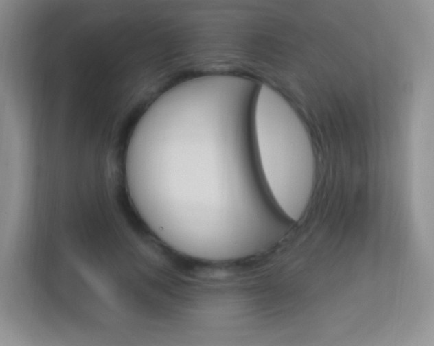 X0000113900743200909241202