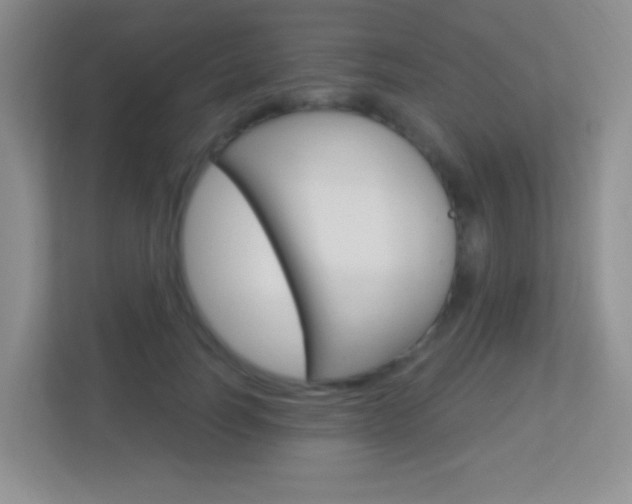 X0000113900746200909241202