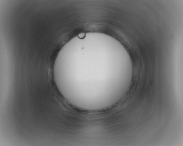 X0000113900749200909241202
