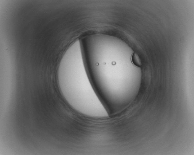 X0000113900750200909241202