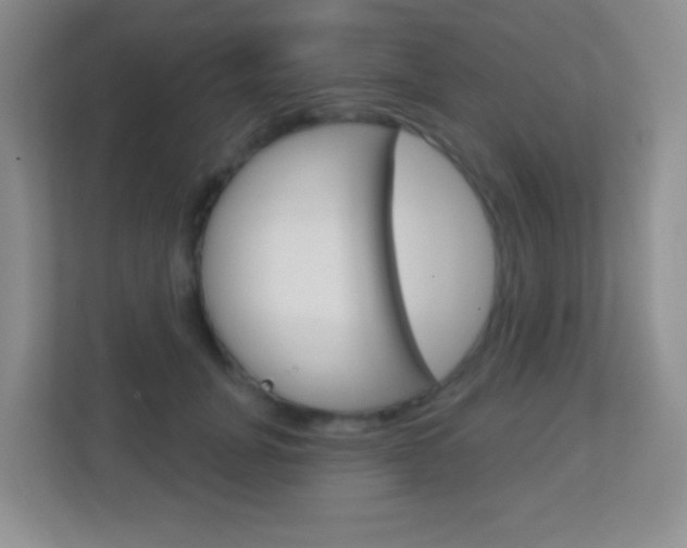 X0000113900751200909241202