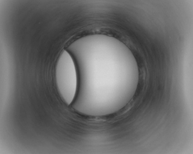 X0000113900754200909241202