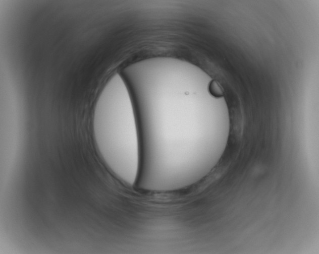 X0000113900758200909241202