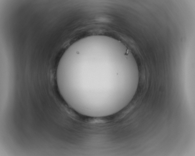 X0000113900759200909241202
