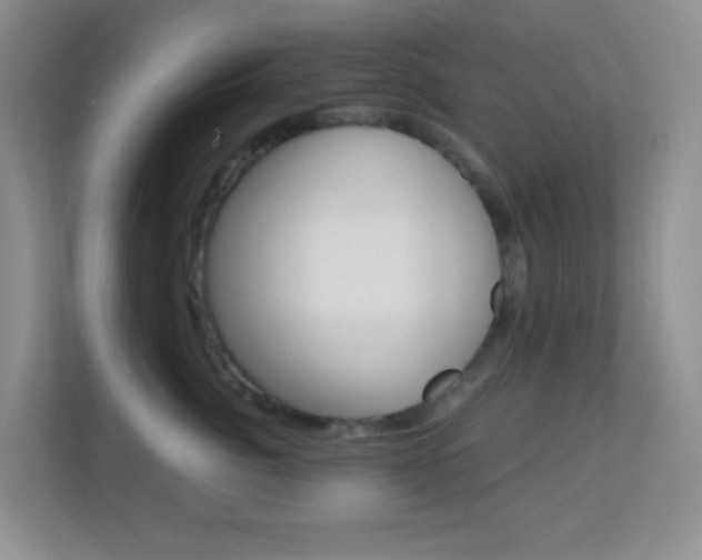 X0000113900764200909241202