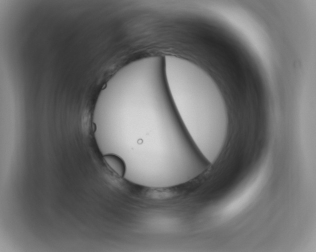 X0000113900767200909241202