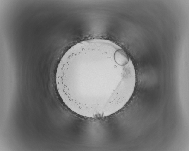 X0000113900769200909241202