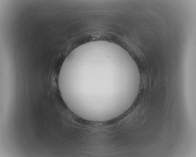 X0000113900770200909241202