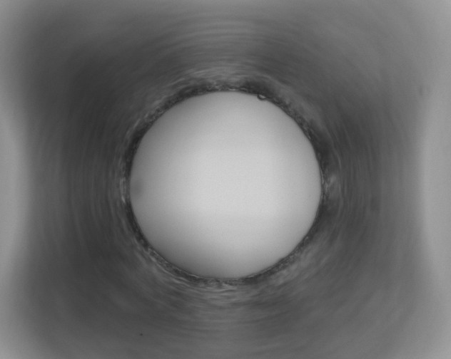 X0000113900772200909241202
