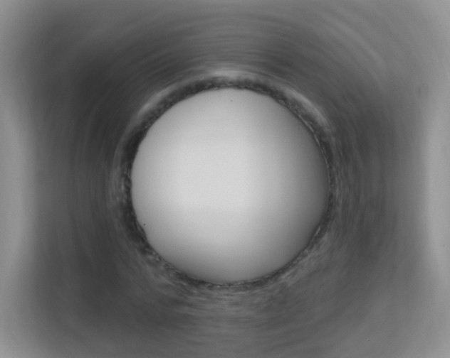 X0000113900776200909241202