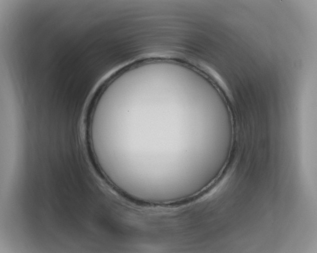 X0000113900779200909241202
