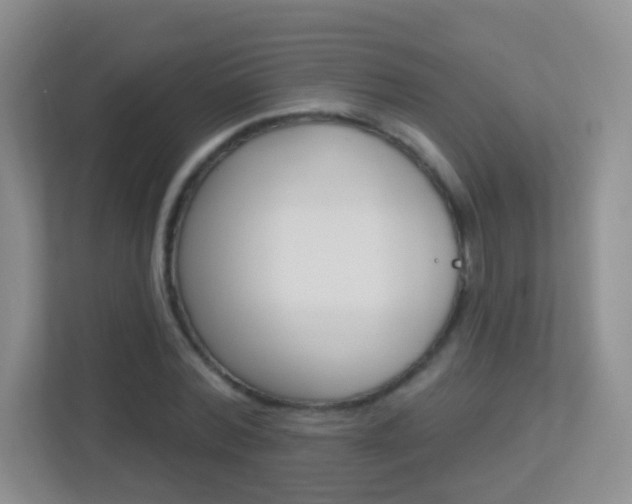 X0000113900780200909241202