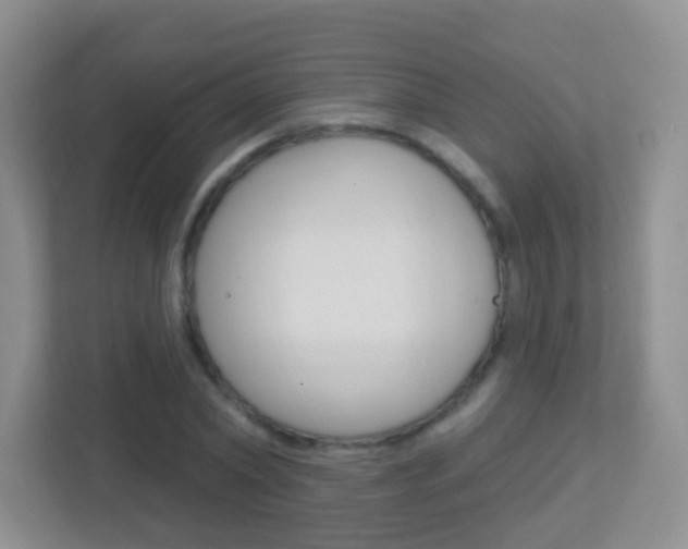 X0000113900782200909241202