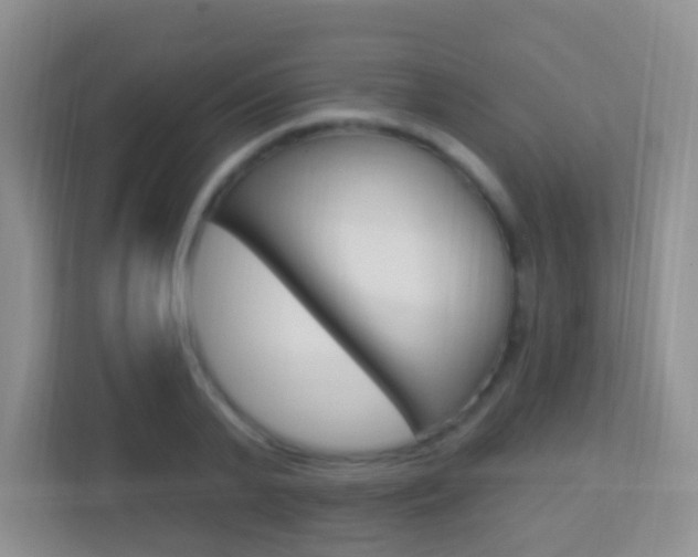 X0000113900791200909241202
