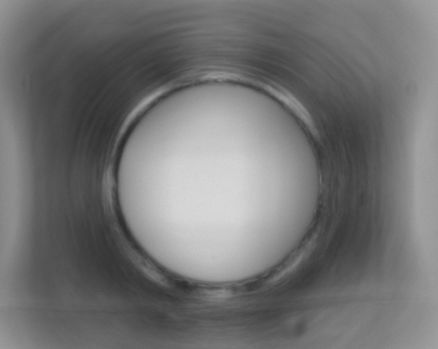 X0000113900798200909241202