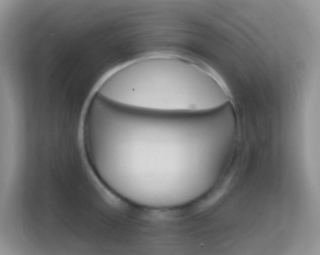 X0000113900803200909241201